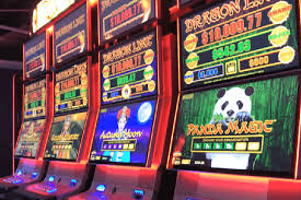 Discover Excitement and Wins with thepokies net