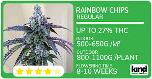 Cannabis Seeds Montana A Comprehensive Guide