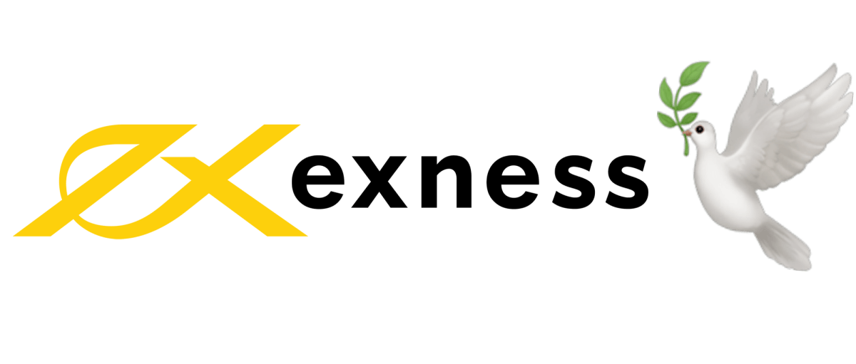 In-Depth Exness ECN Review Trading Simplified